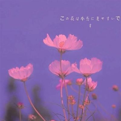 koko体育娱乐下载APP/手机APP下载 v{randstr type=